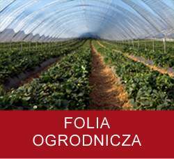 folia ogrodnicza